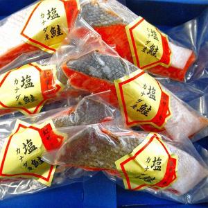 紅塩鮭切り身　詰め合わせ6枚セット