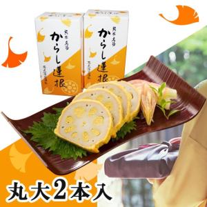 熊本名産 からし蓮根 2本入り 高見商店 のし対応可