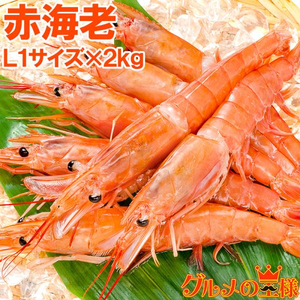 赤海老 赤えび 2kg 超特大 L1 20〜40尾 業務用 1箱 赤エビ あかえび アカエビ 寿司 ...