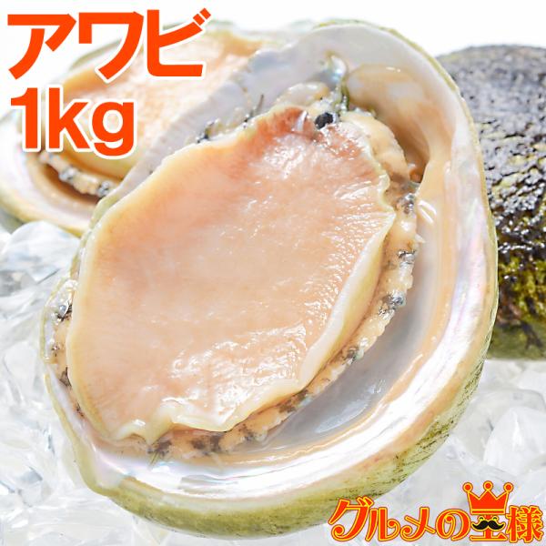 あわび Lサイズ 1kg 1箱12個入り(殻つきお刺身用アワビ 翡翠の瞳)