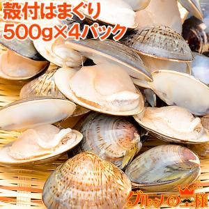 殻付はまぐり （半生仕立て 500gパック・9粒入） : 二枚貝屋 - 通販