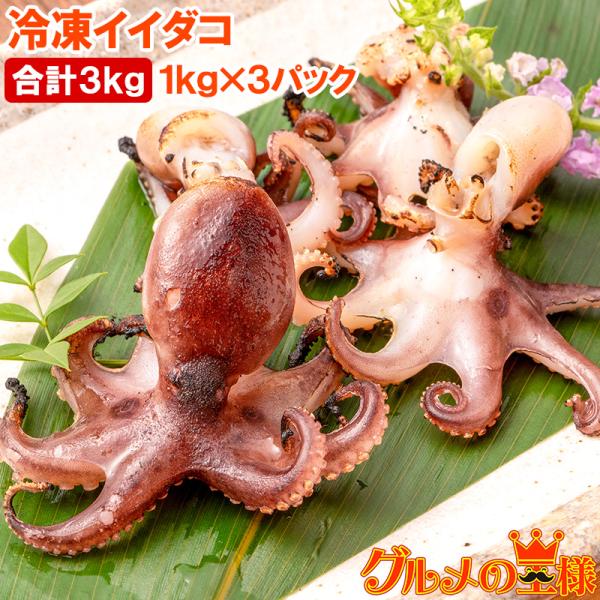 イイダコ いいだこ 業務用 3kg 1kg×3 タコ たこ 蛸 飯蛸 冷凍 バラ凍結 チュクミ ポッ...