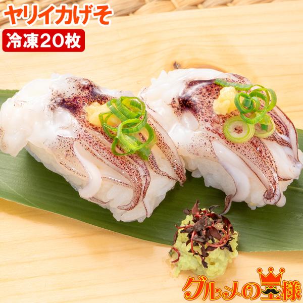 ヤリイカげそ 20枚 寿司ネタ 刺身用イカゲソ いか下足 イカ下足 いか イカ 烏賊