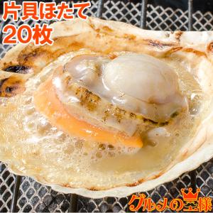 ホタテ ほたて 特大 片貝ほたて 20枚 10枚×2袋 （殻付きほたて