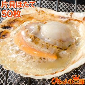 ホタテ ほたて 特大 片貝ほたて 50枚 10枚×5袋 （殻付きほたて 帆立 貝 バター焼き 浜焼き バーベキュー BBQ 業務用 築地市場 ギフト）｜gourmet-no-ousama