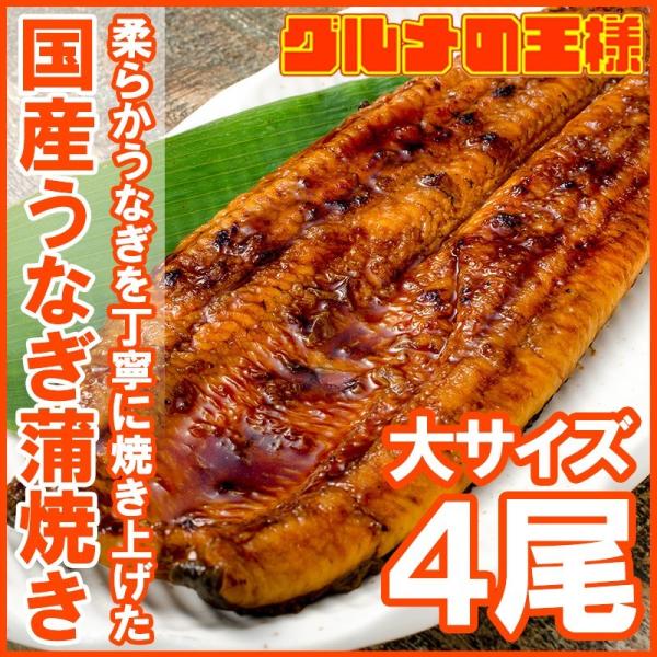 国産 うなぎ蒲焼き 大サイズ 平均165g前後×4尾