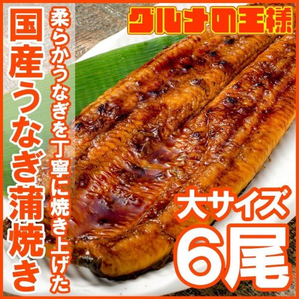 国産 うなぎ蒲焼き 大サイズ 平均165g前後×6尾