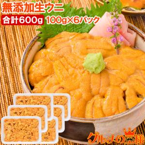 生ウニ 生うに 冷凍 無添加 天然 600g 100g×6パック(ウニ