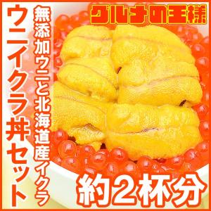 築地市場のウニイクラ丼セット（２杯分・無添加生ウニ１００g＆いくら醤油漬け１００g）海鮮丼で約２杯分｜gourmet-no-ousama