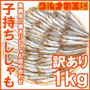 訳ありししゃも（子持ちシシャモ・業務用１ｋg）