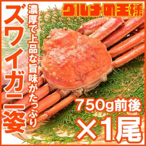 ズワイガニ 姿 750g前後×1尾 冷凍ゆでがに 本ズワイガニ 解凍するだけでＯＫ ボイル冷凍 ズワイ蟹 ずわいがに かに カニ 蟹 ずわい蟹 豊洲市場 かに鍋｜gourmet-no-ousama