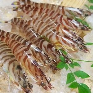 活き〆車えび 400g(200g×2)(約10〜26尾)(受注発注)(冷凍)(他の商品との同梱不可)(代引き不可)大分