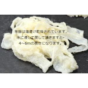 天然羊腸(22-24)(2本で約7.5m)(1...の詳細画像3