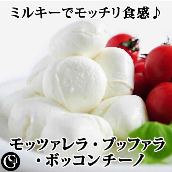 モッツァレラブッファラ ボッコンチーノ（250g） 水牛の乳で作った本格派モッツァレラ 本場 イタリ...