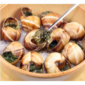 殻付エスカルゴ ブルゴーニュ風 バター詰 30個入