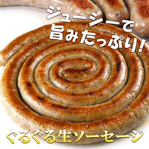 ソーセージアソートセット 6種セット 日光HI...の詳細画像3
