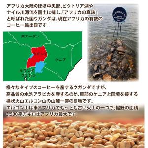 (業務用卸メガ盛り2kg)ウガンダ世界規格Qグ...の詳細画像1