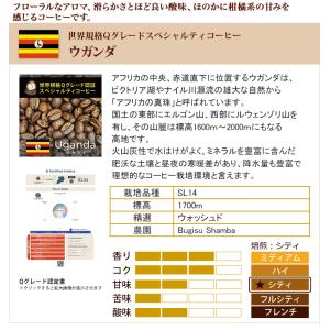 (業務用卸メガ盛り2kg)ウガンダ世界規格Qグ...の詳細画像3