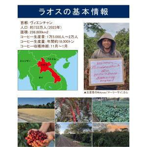 [500gお得袋]ラオスHONUKOPEスペシ...の詳細画像1