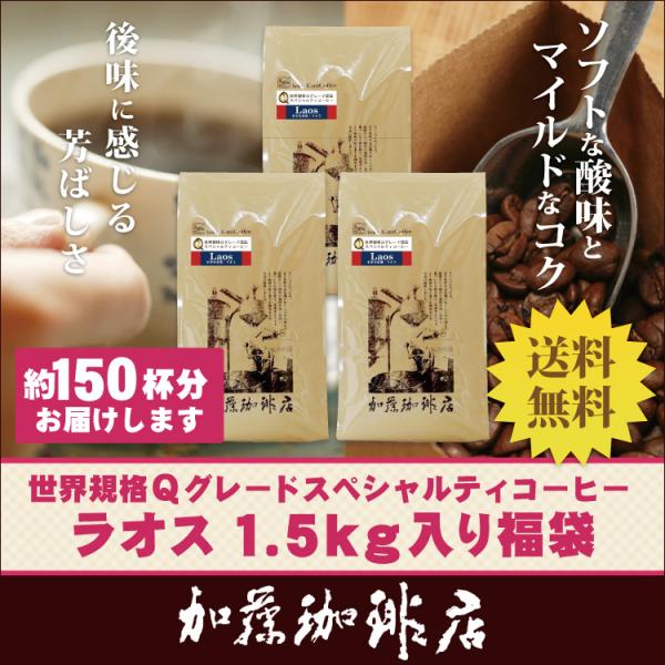 世界規格Qグレード珈琲ラオス1.5kg入り福袋（Qラオ×3)/珈琲豆