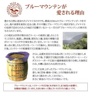 [1kg]ブルーマウンテンミスト珈琲福袋(ミス...の詳細画像3