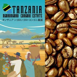 タンザニア・ンゴロンゴロ（100g）/珈琲豆｜gourmetcoffee