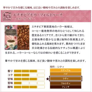 [500gお得袋]エチオピア モカ・フォルトゥ...の詳細画像2