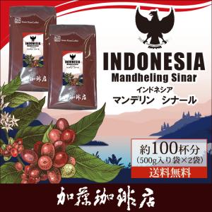 [1kg]インドネシア マンデリン シナール(シナール×2)/珈琲豆｜gourmetcoffee