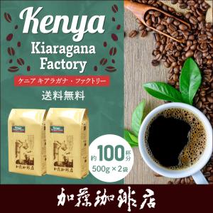 [1kg]ケニア キアラガナ・ファクトリー(キアラ×2)/珈琲豆｜gourmetcoffee