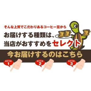 全国一律送料無料【ネコポス】Qグレードお試し福...の詳細画像4
