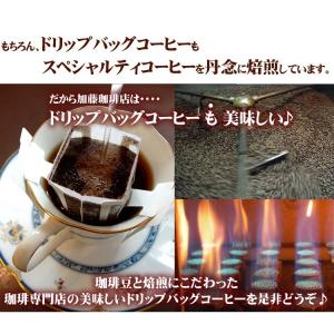 (10袋入)ヨーロピアンクラシックブレンド ド...の詳細画像3