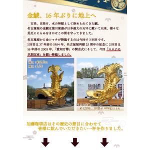 しゃちブレンドアイスコーヒーリキッド【12本】...の詳細画像2