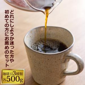 驚愕の珈琲福袋(Qグァテ・クリス・Hコロ)/珈琲豆 コーヒー豆