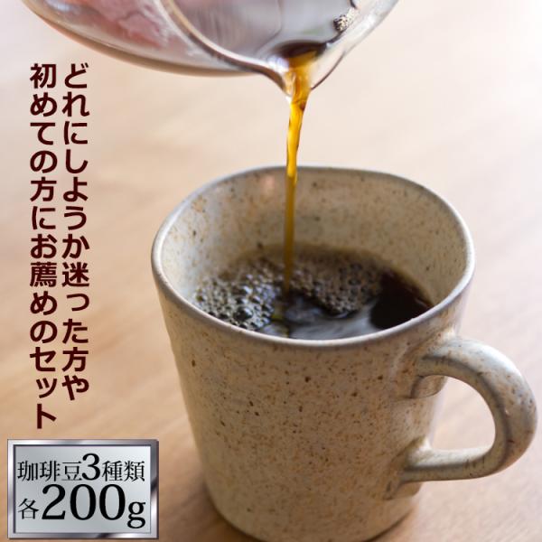 (200gVer)驚愕の珈琲福袋(Qグァテ・Qコロ・クリス/各200g)/珈琲豆 コーヒー豆 コーヒ...