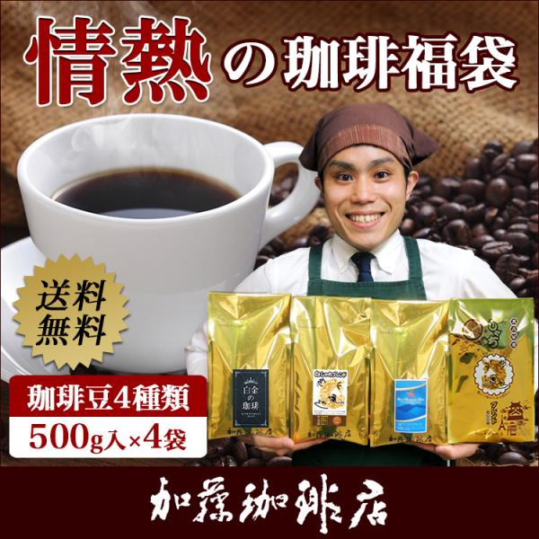 情熱の珈琲福袋(白鯱・鯱・白金・ミスト)500g×4袋 2kg）/珈琲豆 コーヒー豆 コーヒー