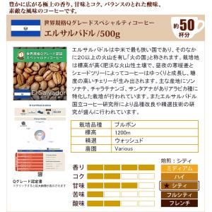 タイプ11(R)スペシャルティ珈琲大入り福袋(...の詳細画像2