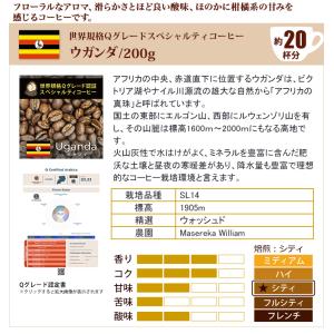 Qグレード6種類飲み比べ (Qウガ・Qエル・Q...の詳細画像3