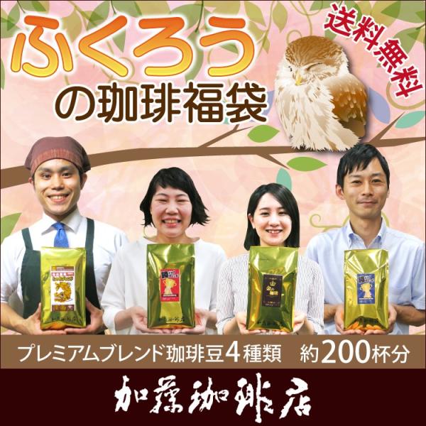 ふくろうの珈琲福袋(しゃち・青・赤・金/各500g)/珈琲豆 コーヒー豆 コーヒー