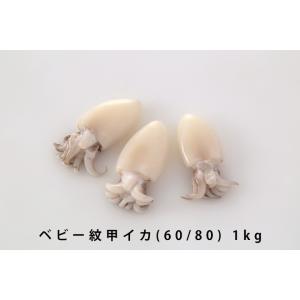 ベビー 紋甲 イカ 1kg いか 海鮮 シーフード 冷凍食品