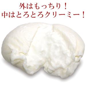 【 モッツァレラ ブッラータ 100g×6パッ...の詳細画像2