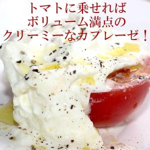 【 モッツァレラ ブッラータ 100g×6パッ...の詳細画像5