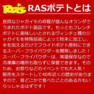 【 ラスポテトの素(スーパーフライパウダー)1...の詳細画像4