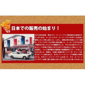 送料無料【ラスポテトの素(スーパーフライパウダ...の詳細画像3