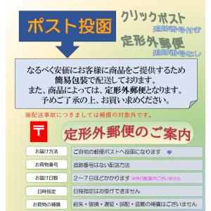 ターミナリアスリム+プラス 120粒 60日分...の詳細画像2