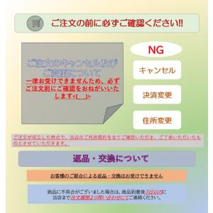 ターミナリアスリム+プラス 120粒 60日分...の詳細画像3