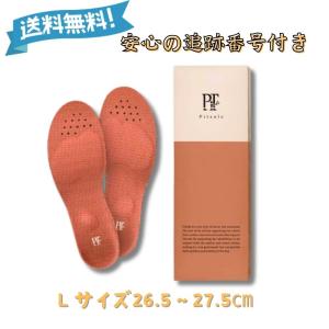 ピットソール Pitsole インソール 中敷き 男女兼用 L 26.5~27.5cm｜gowowo-store