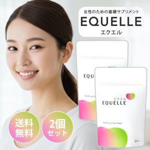 『ヤフショ感謝デー■全品ポイント+1%』エクエル パウチ エクオール 大塚製薬 120粒入り 2袋