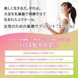 『ヤフショ感謝デー■全品ポイント+1%』エクエ...の詳細画像1