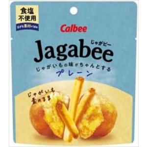 送料無料 カルビ− Jagabeeプレーン食塩不使用 38g×48袋