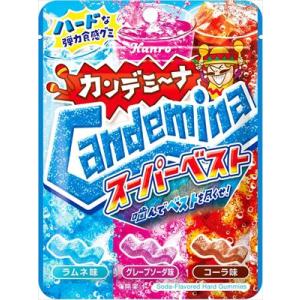 Kabaya カバヤ タフグミ 100g×6袋入×(2ケース)｜ 送料無料 : のぞみ